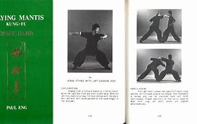 Image result for The Monk Who Discovered Preying Mantis Style Kung Fu Book