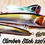 Image result for Stick Bait Lures