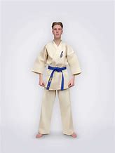 Image result for Kyokushin Karate GI