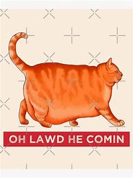 Image result for Pictures of Cat Memes