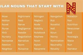 Image result for Nouns That Start with N