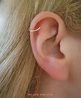 Image result for Ear Cartilage Earrings