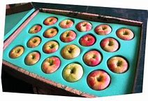 Image result for Matthew Apple Boxes