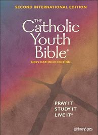 Image result for Youth Bible