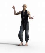 Image result for Kung Fu Tai Chi Styles