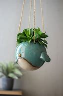 Image result for Quirky Plant Pots