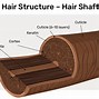 Image result for Silicone Hair Cover