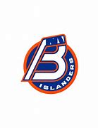 Image result for Bridgeport Islanders Logo