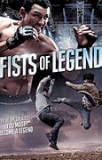 Image result for Fist of Legend Film