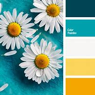 Image result for iPhone in Teal Color