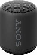 Image result for Sony BT Speaker Big