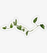 Image result for Vine Plant Stickers