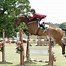 Image result for Show Jumping Drawing