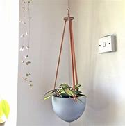 Image result for Industrial Pipe Ceiling Plant Hangers