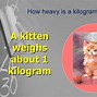 Image result for How Big Is a Kilometer