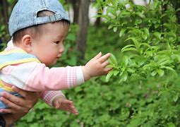 Image result for Child Care Services