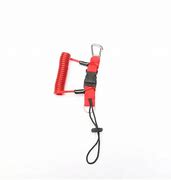 Image result for Scuba Camera Bolt Snap Lanyard