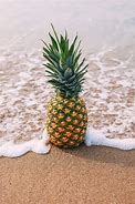 Image result for Summer Pineapple