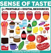Image result for Sense of Taste Samples