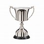 Image result for Full Pitch Cricket Trophy