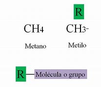 Image result for alquitol