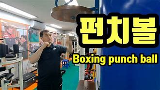 Image result for Powerful Boxing Punch