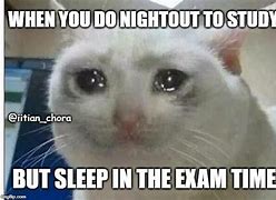 Image result for Failed Exam Cat Meme Crying