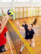 Image result for Portable Volleyball Net