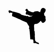 Image result for Martial Arts Kick Silhouette