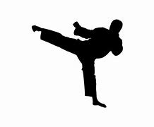 Image result for Martial Arts Training Silhouette