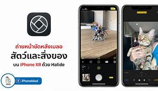 Image result for iPhone XR App Layout Template