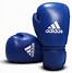Image result for Competition Boxing Gloves