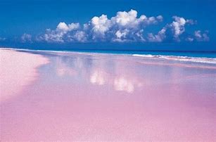 Image result for Pink Sand Beach Eleuthera Bahamas