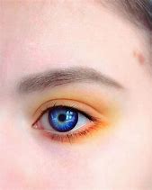 Image result for Purple and Blue Contact Lenses