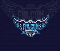 Image result for Falcon Logo Design for eSports