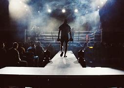 Image result for Ring Clips Fightner