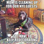 Image result for Happy New Year 2019 Dog Meme