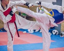 Image result for Karate vs Taekwondo
