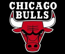 Image result for Bulls Team