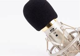 Image result for Microphone Stock Image