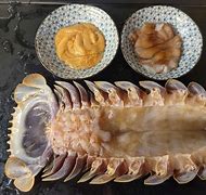 Image result for The Ramen Boy Isopod
