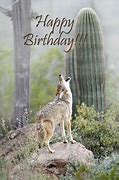 Image result for Happy Birthday Coyote