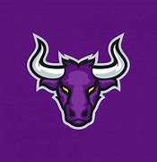 Image result for Bull Mascot Logo