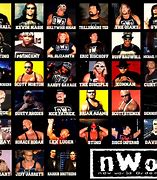 Image result for WCW/NWO Wrestling