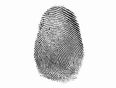 Image result for High Resolution Fingerprint Image
