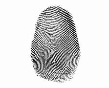 Image result for Delta Fingerprint Pattern