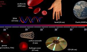 Image result for How Big Is 1 Nanometer