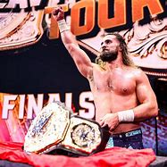 Image result for Seth Rollins with Highlights