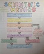 Image result for Scientific Method Experiments Examples