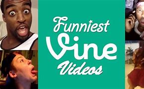 Image result for Top Funny Vines